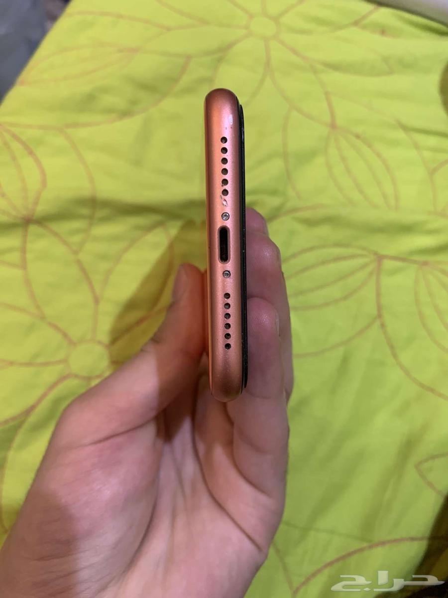iPhone XR64552746784769112