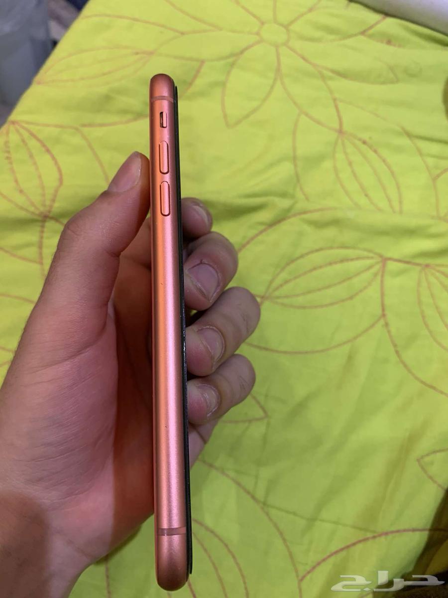iPhone XR64552746784769114