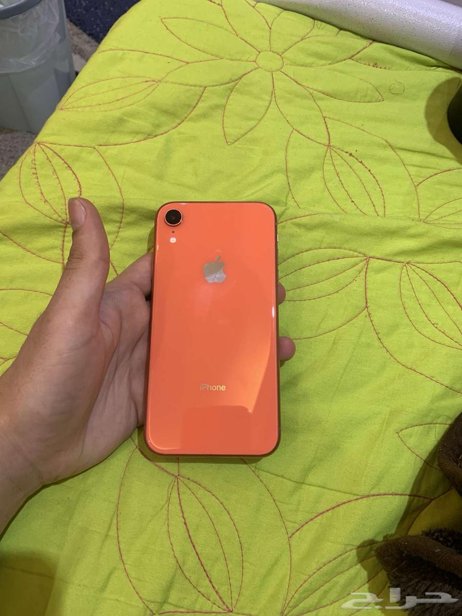 iPhone XR64552746784769111