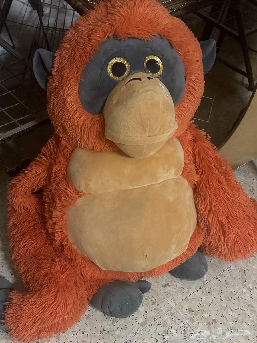 Dumiah64544157205507110