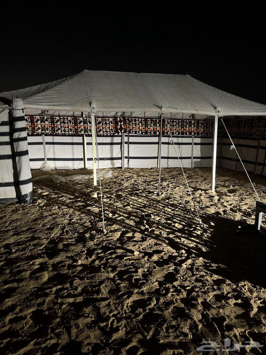 بيوت شعر البيض جميع المقصات64550396150017112