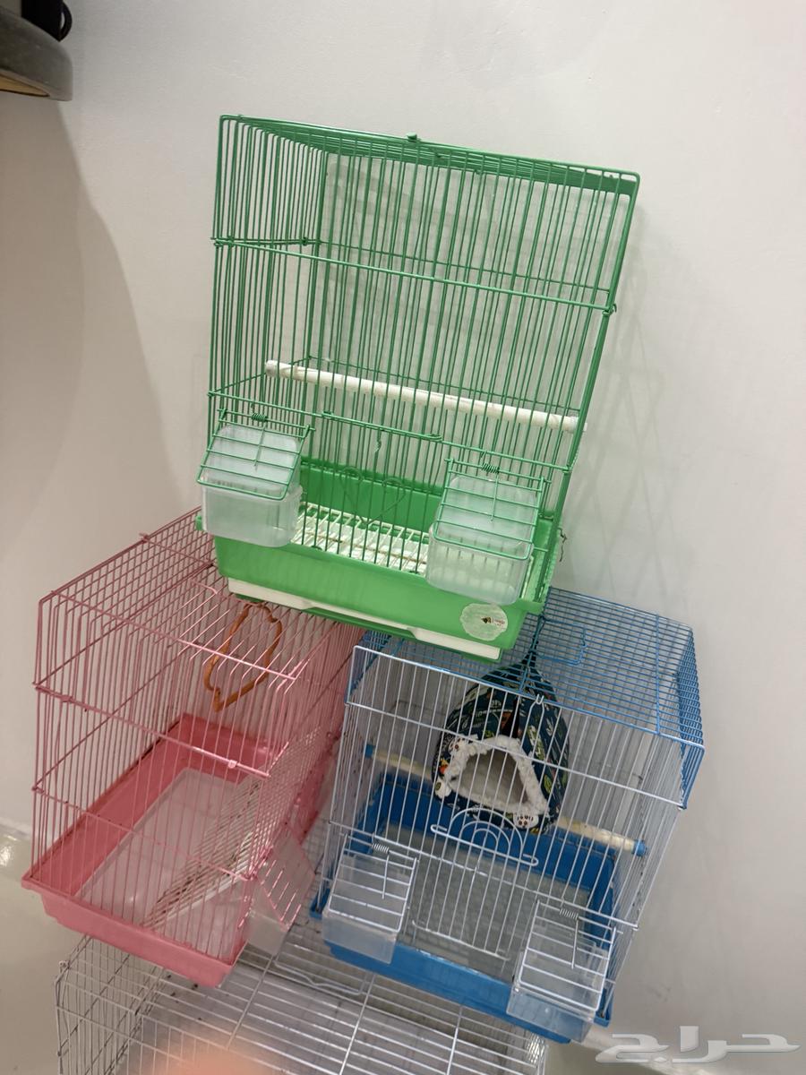أقفاص عصافير للبيع64546651062531111