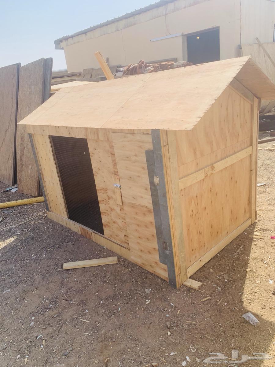 Wooden cabins for pigeons or nesting birds or pigeon net64544691961347110
