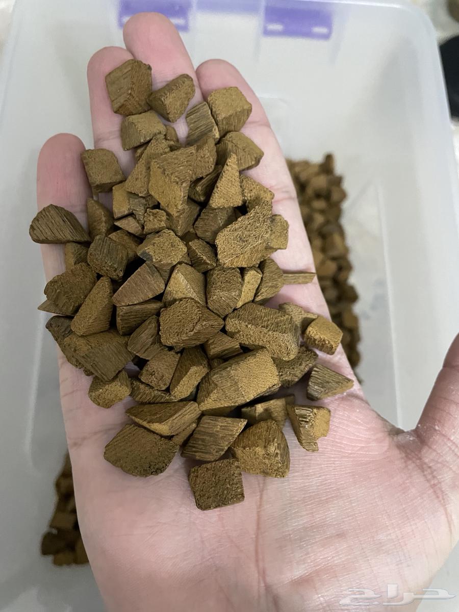 عود الدقة الفيتنامية الفاخرة64550590934914112