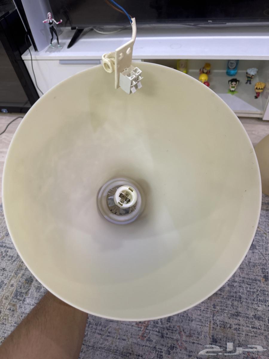 Ceiling bulbs64545203048833112