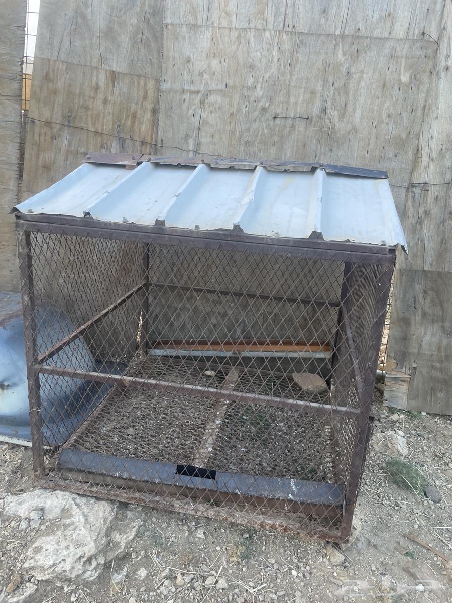 شبك للبيع64549996901762110