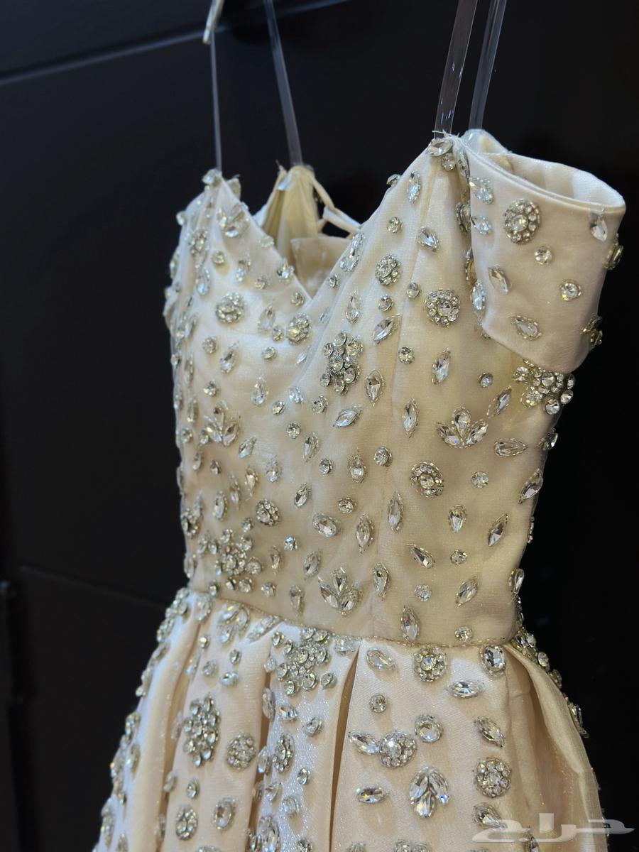 الي يبغا فستان فخم64546985333250110