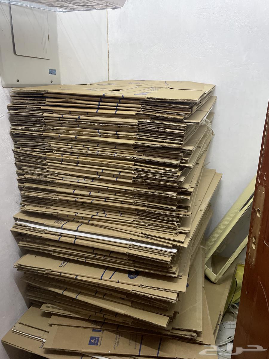 كراتين بيض64551533190914110