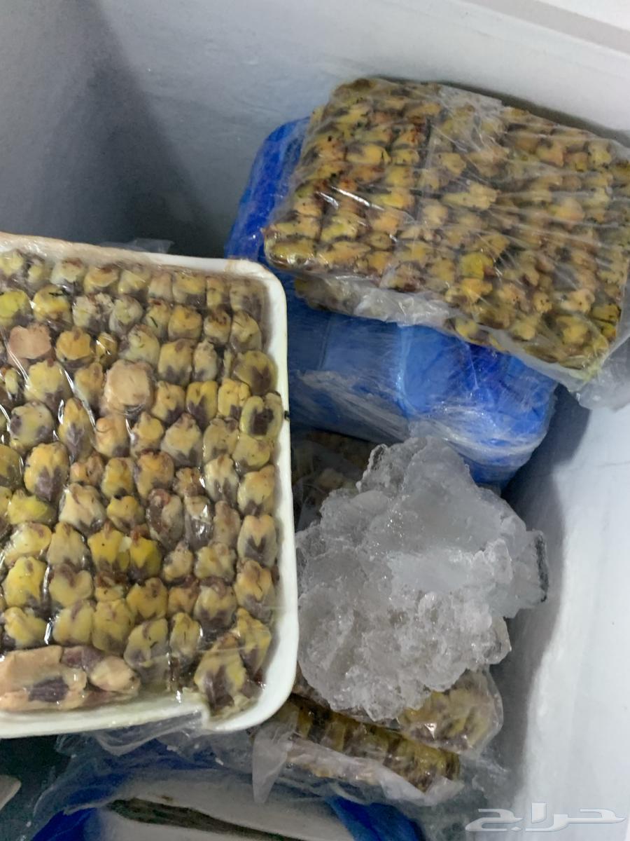 للبيع دخل64544143068674112