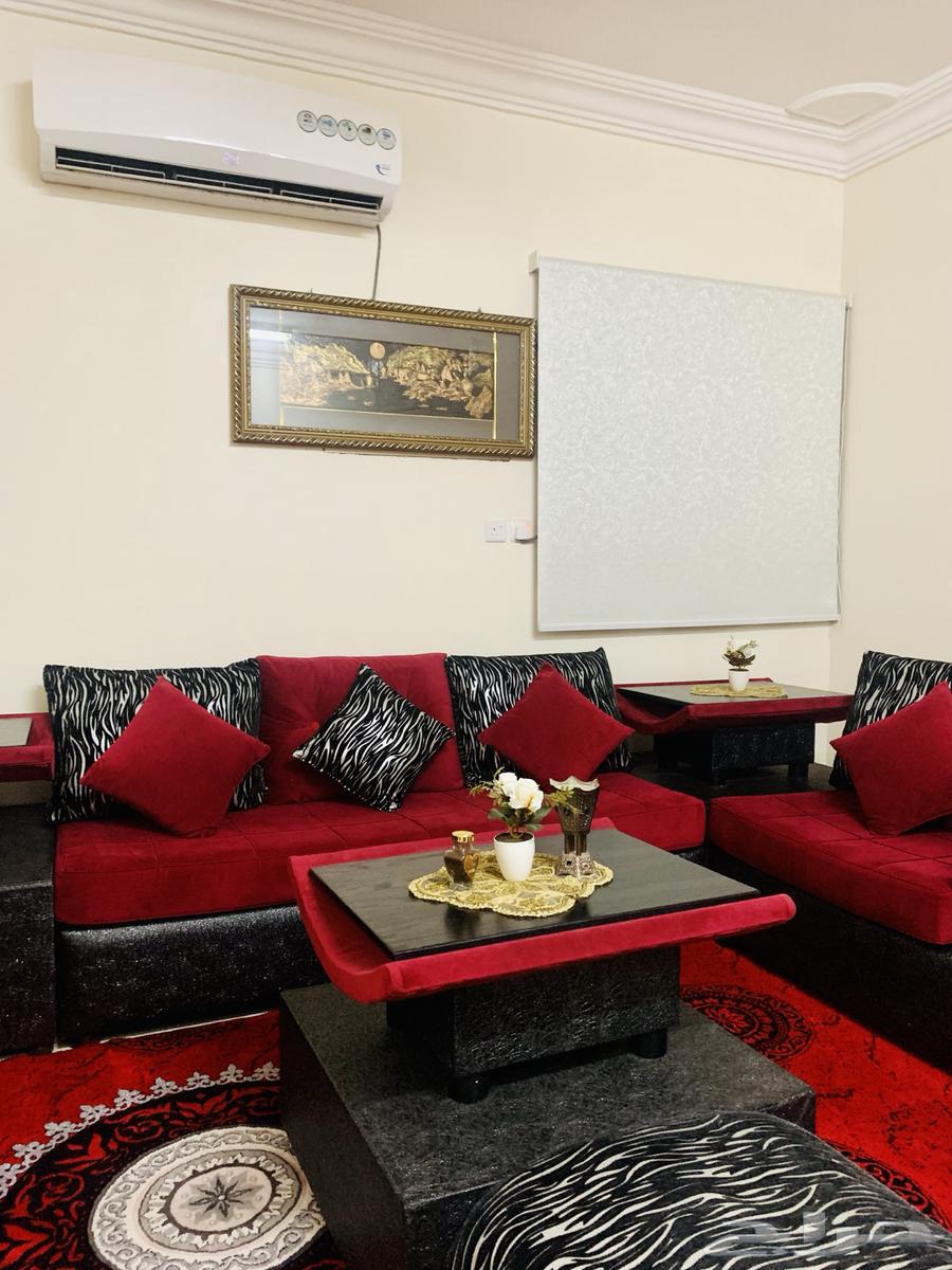 Sofa, Carpet, Curtain64545616264449114