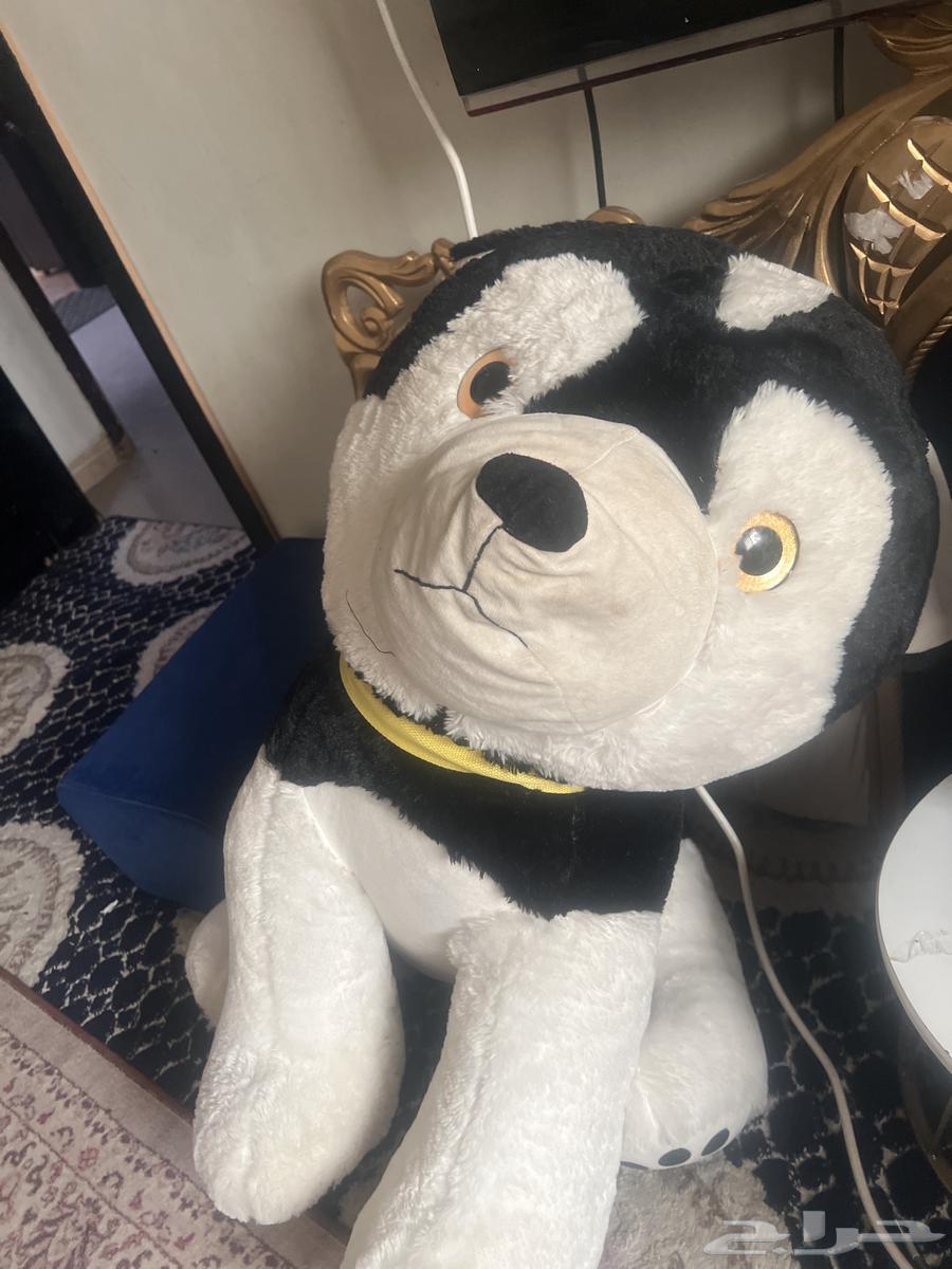 دبدوب كبير64547373956609112