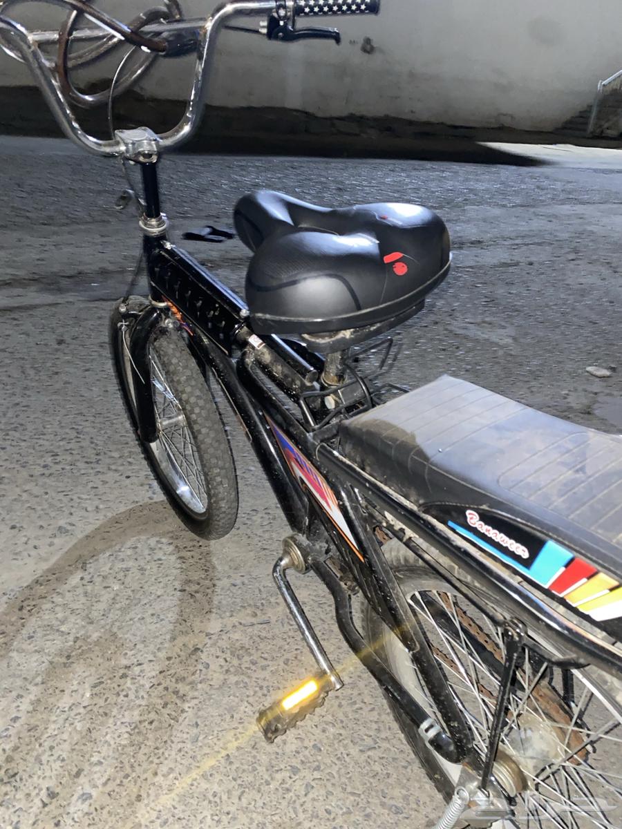 رامبو اسود للبيع64547068851841111