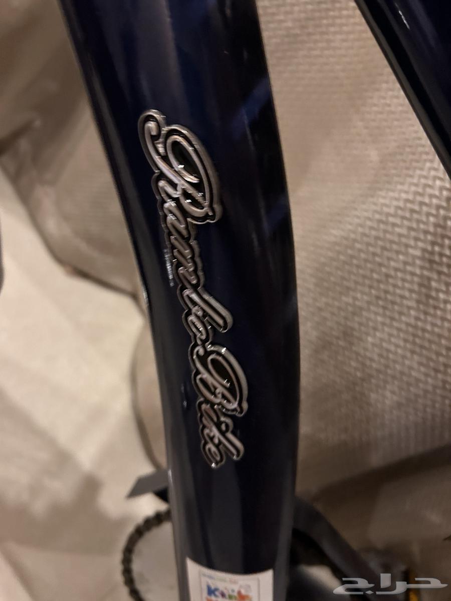 Original Rambo Bicycle Size 20, Rare Color64548603446401113