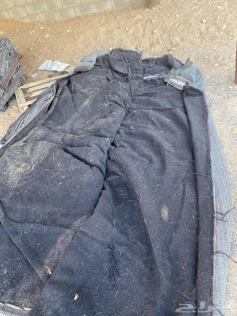 بيت شعر للبيع نظيف64411527375235114