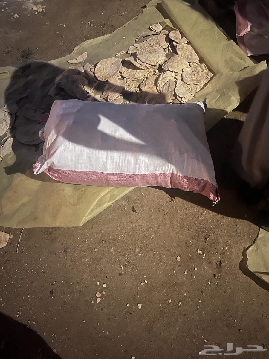 خبز تميس اكياس فل مكسر64551433853570110