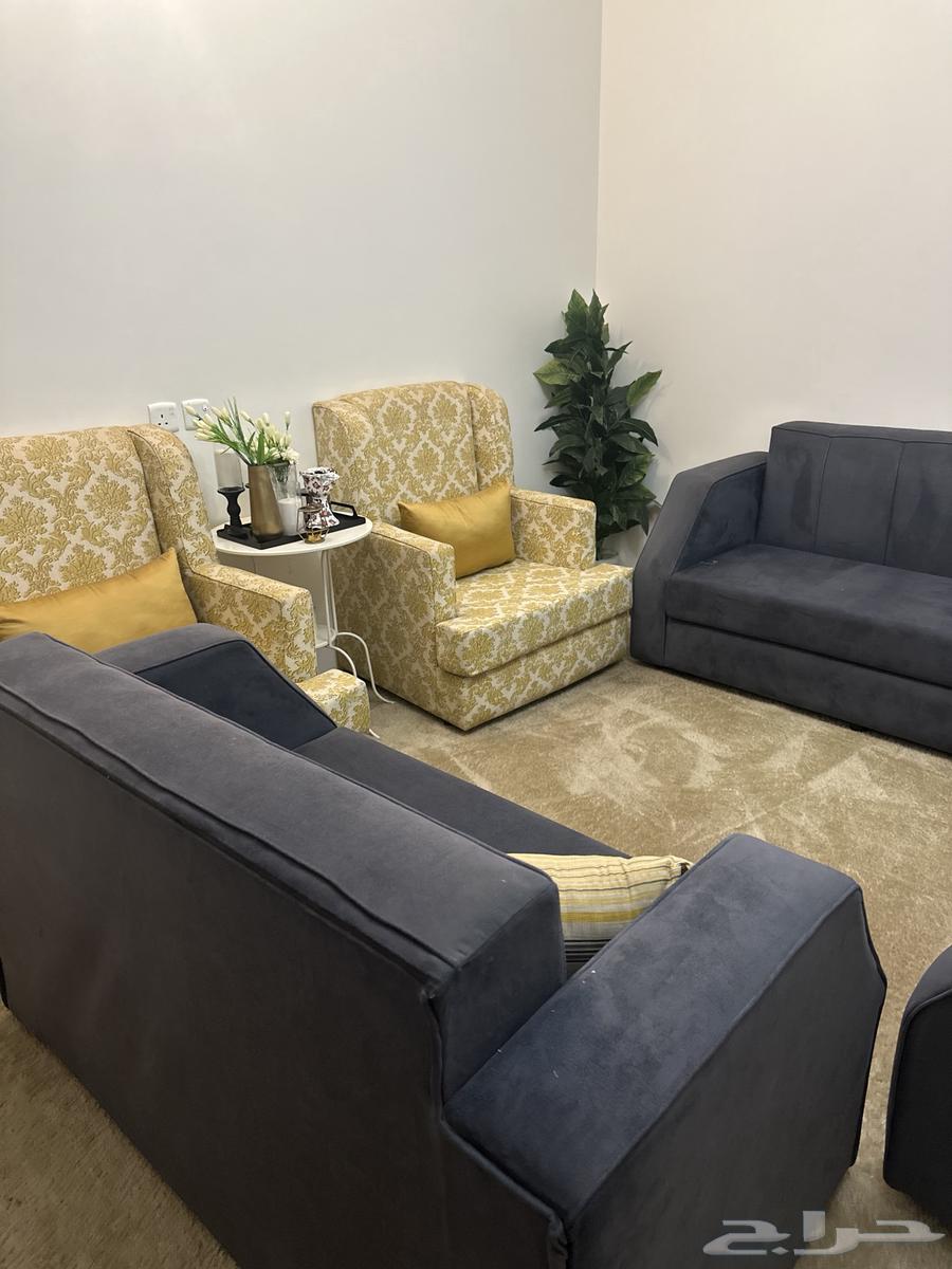 كنب للبيع64553229025282111