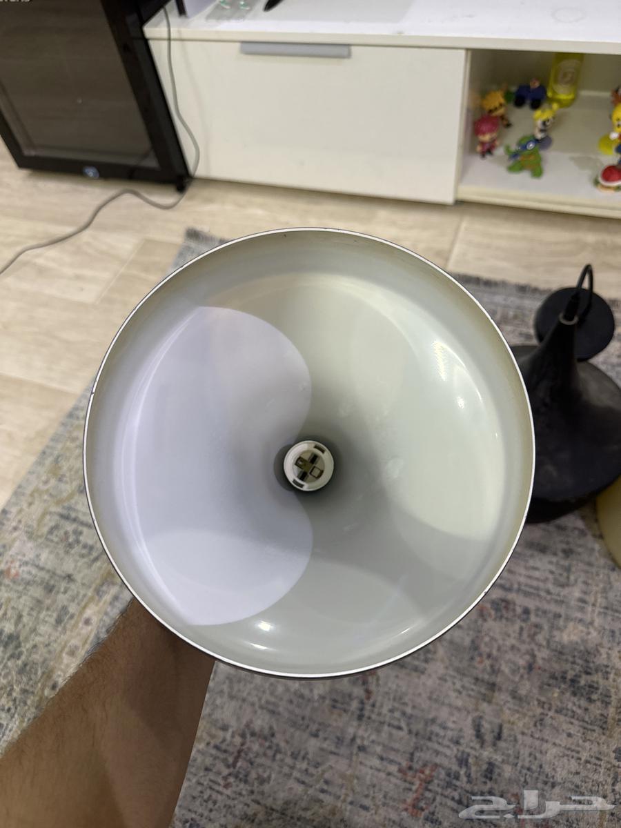 Ceiling bulbs64545203048833111