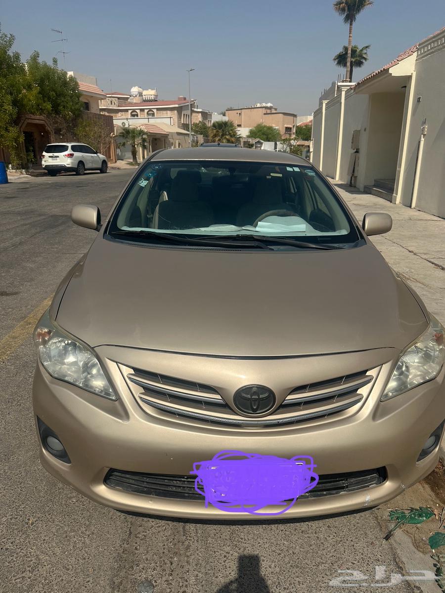 6687 شراحمد بن حنبل64545941968513113