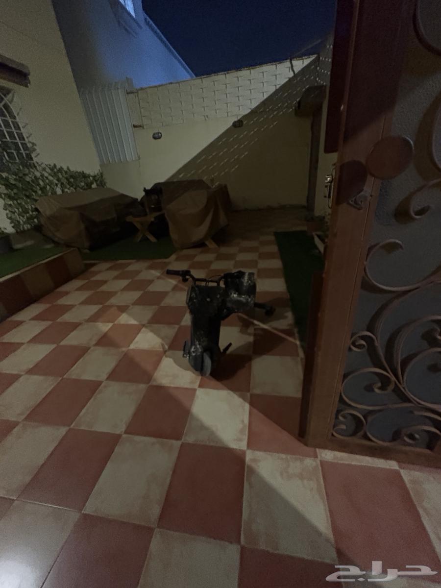 سكوتر اصلي للبيع64547277304705111