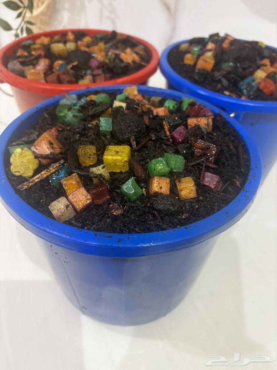 عرض اليوم الوطني بخور جيزاني64543705011330112