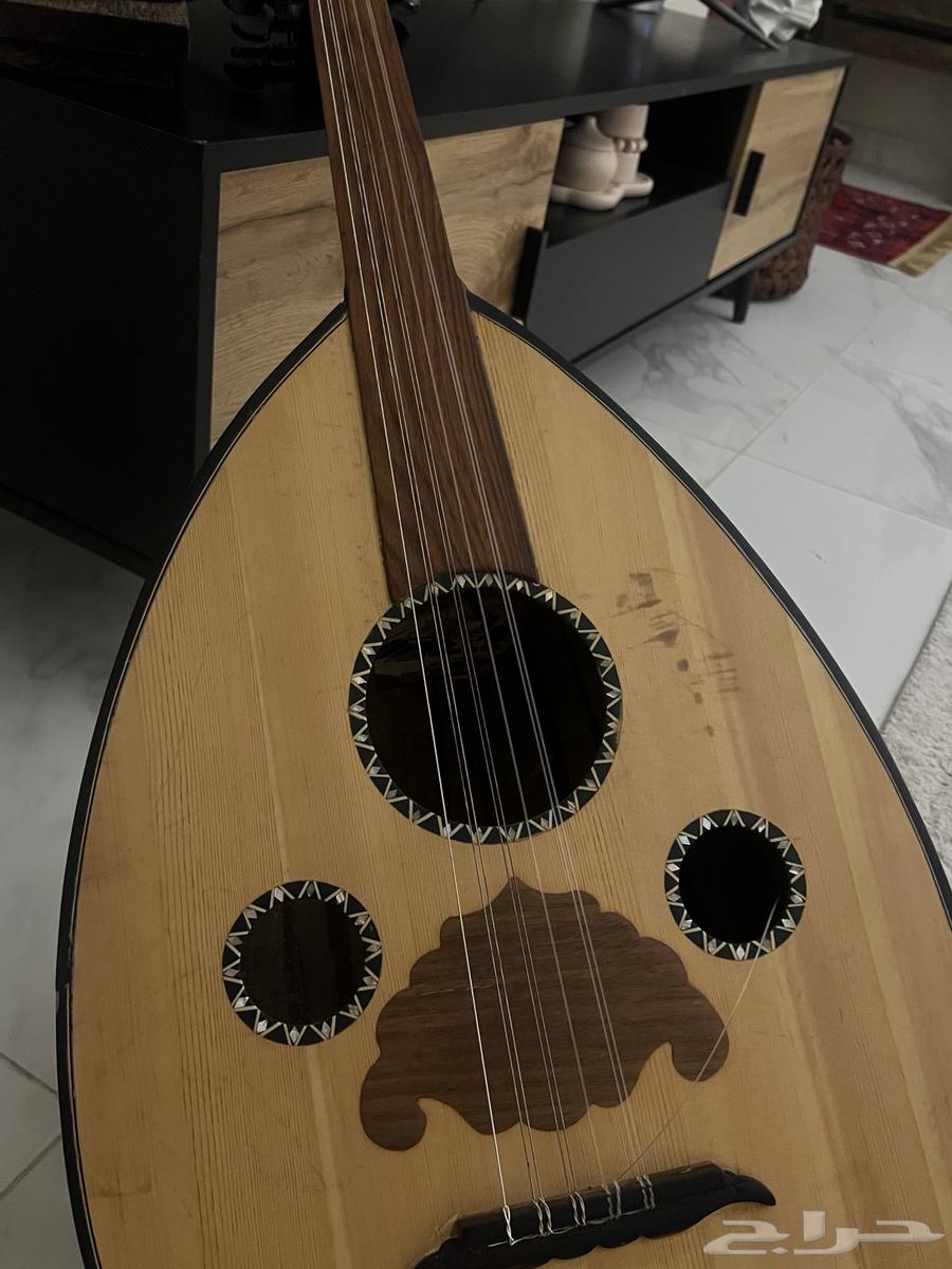 عود مصري للبيع64550661681281111