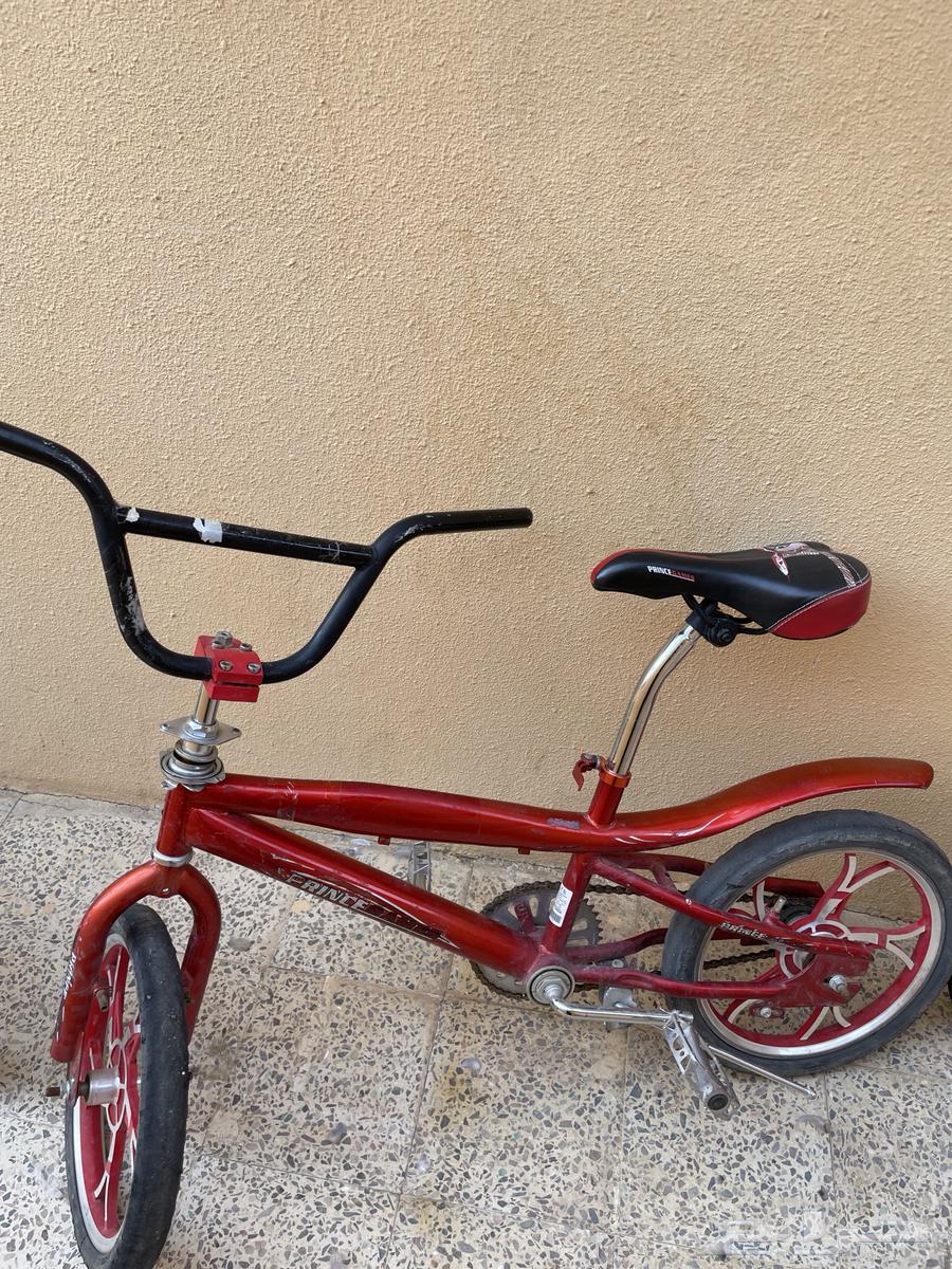 سياكل للبيع64545431351555111