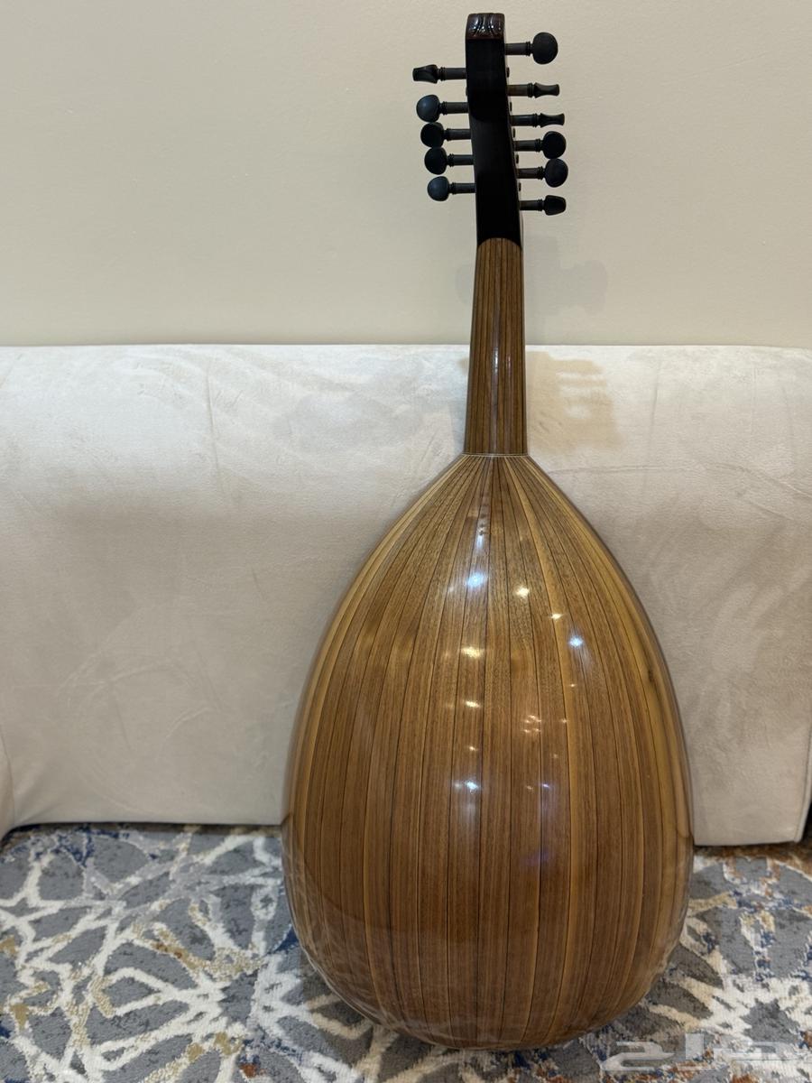 عود احترافي للبيع64552206462338111