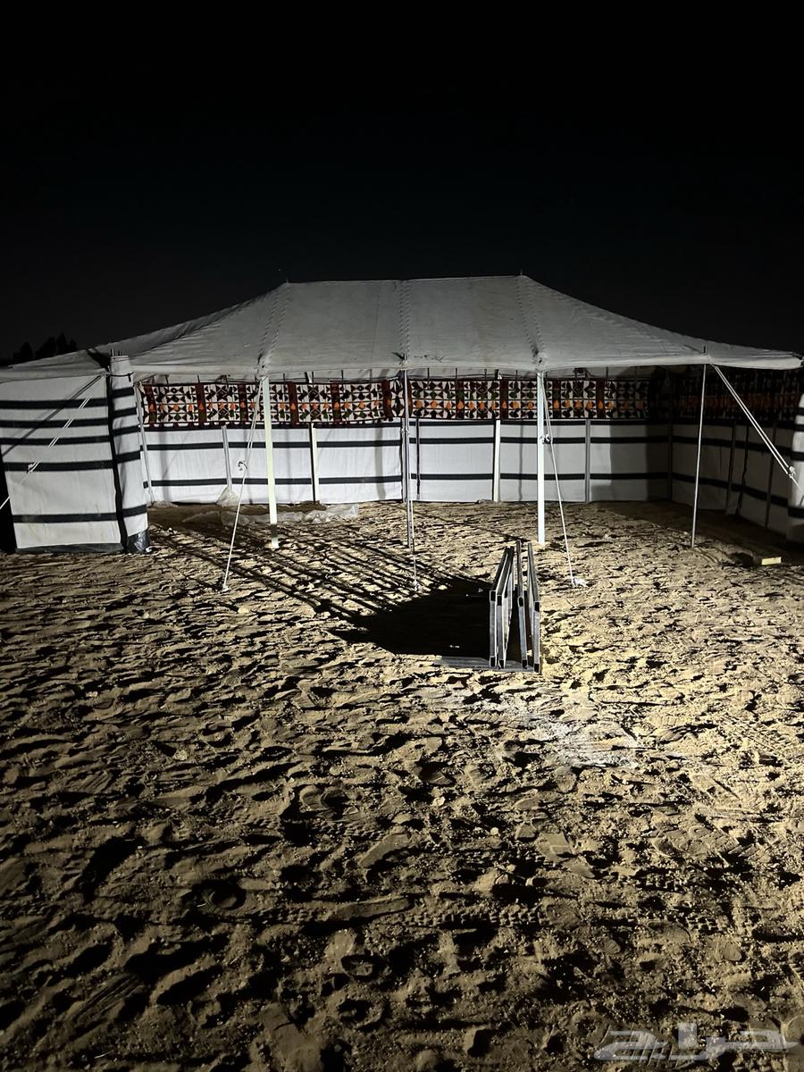 بيوت شعر البيض جميع المقصات64550396150017111