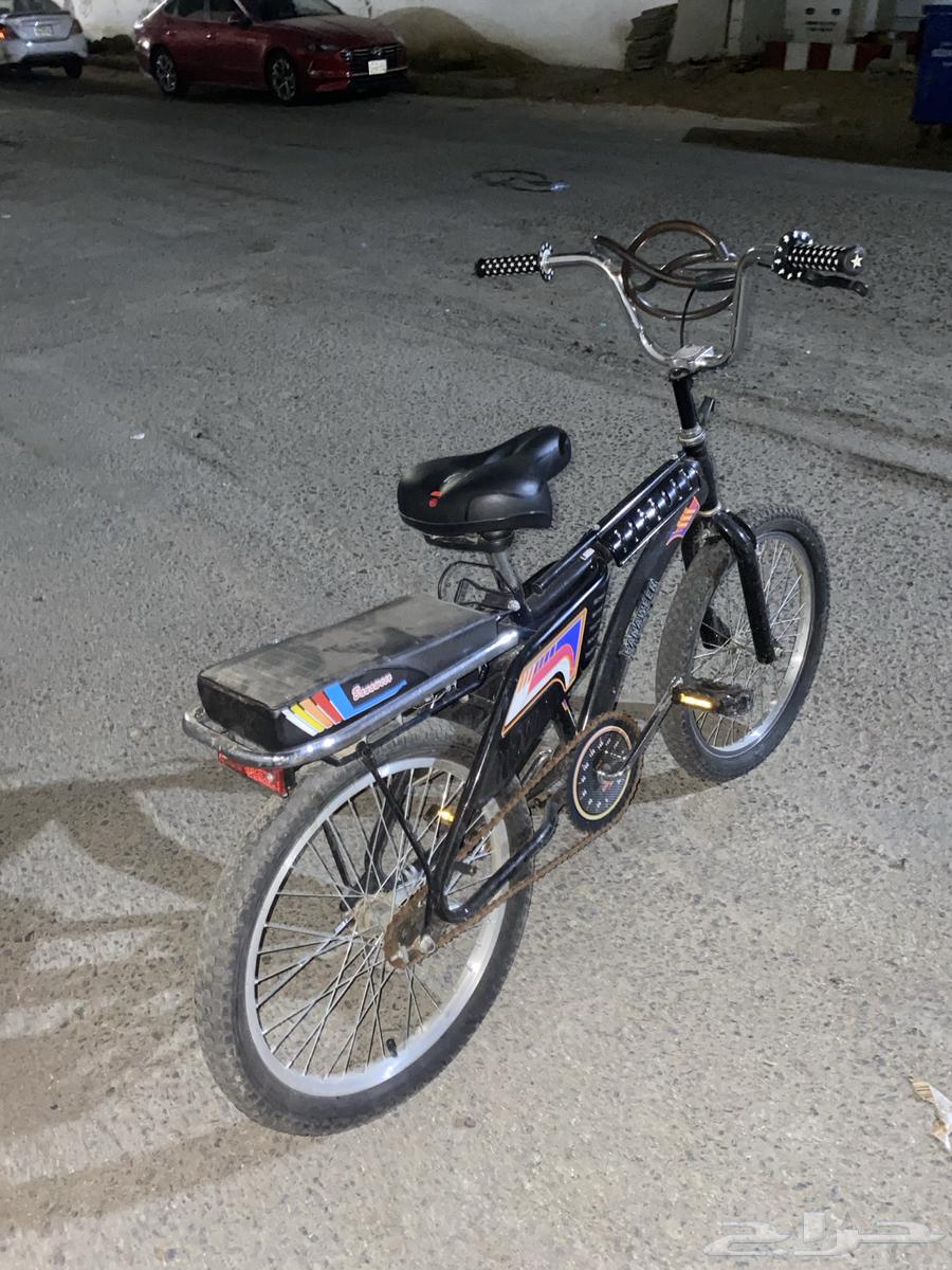 رامبو اسود للبيع64547068851841112