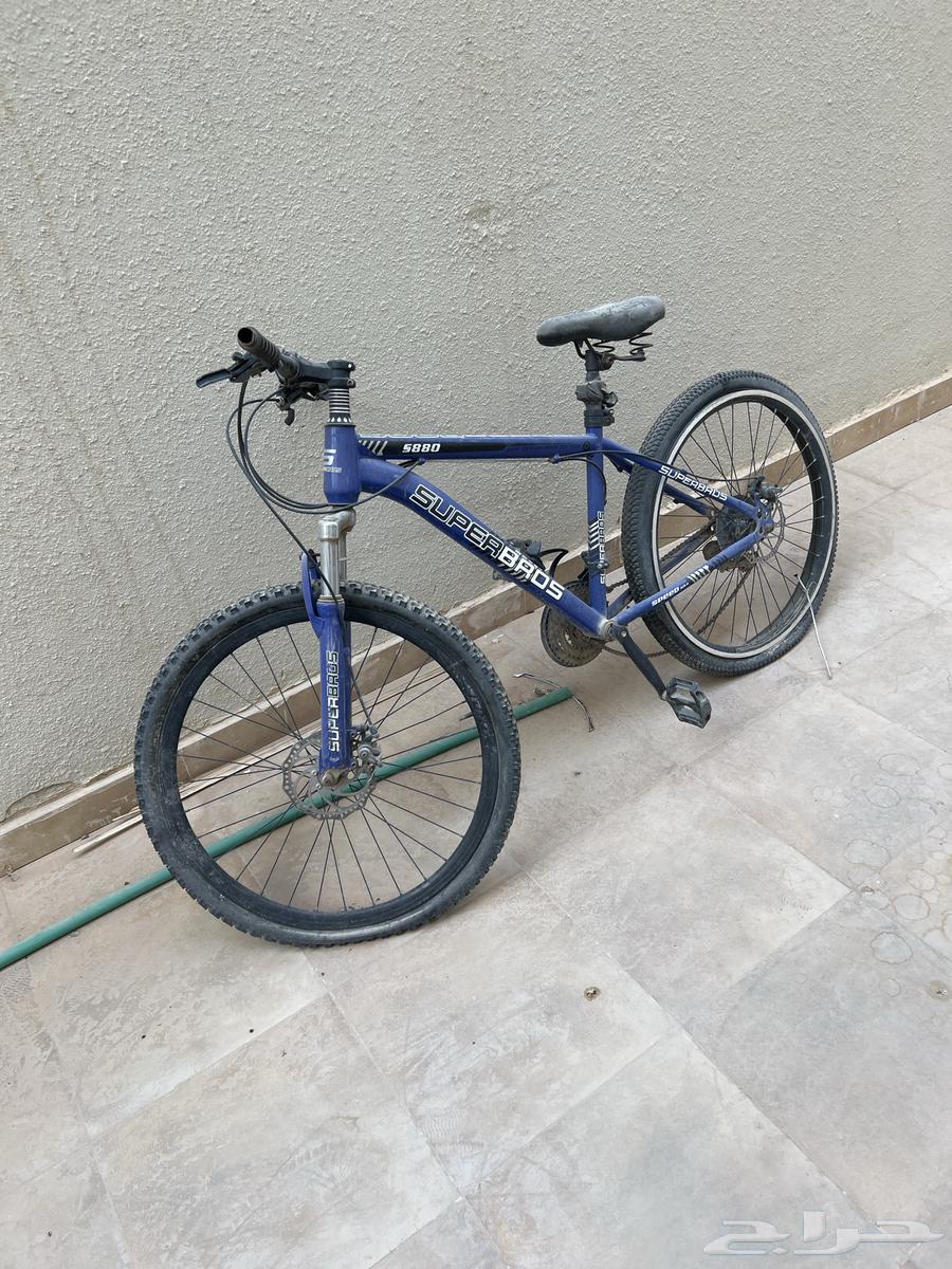 للبيع سيكل مقاس 2764549486153859110