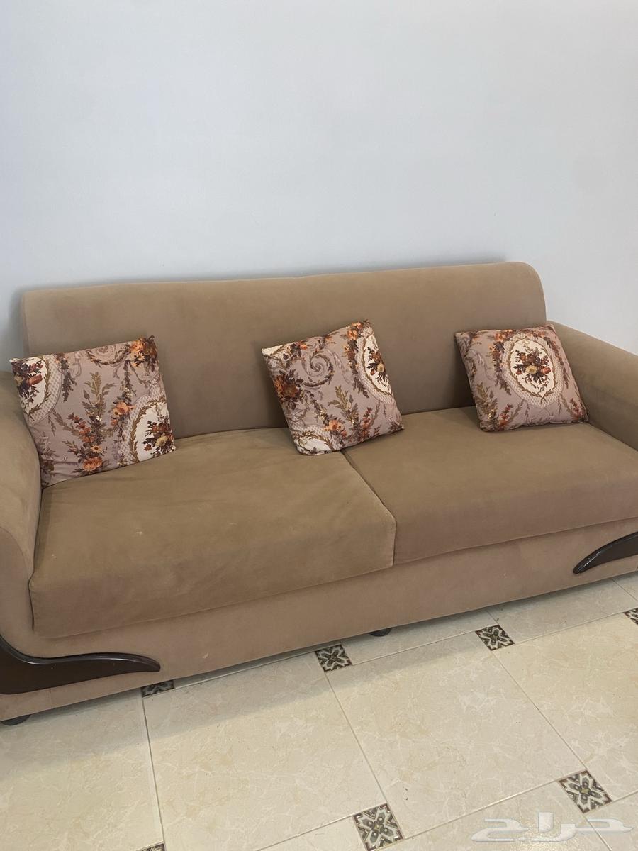 Sofa64546393314818113