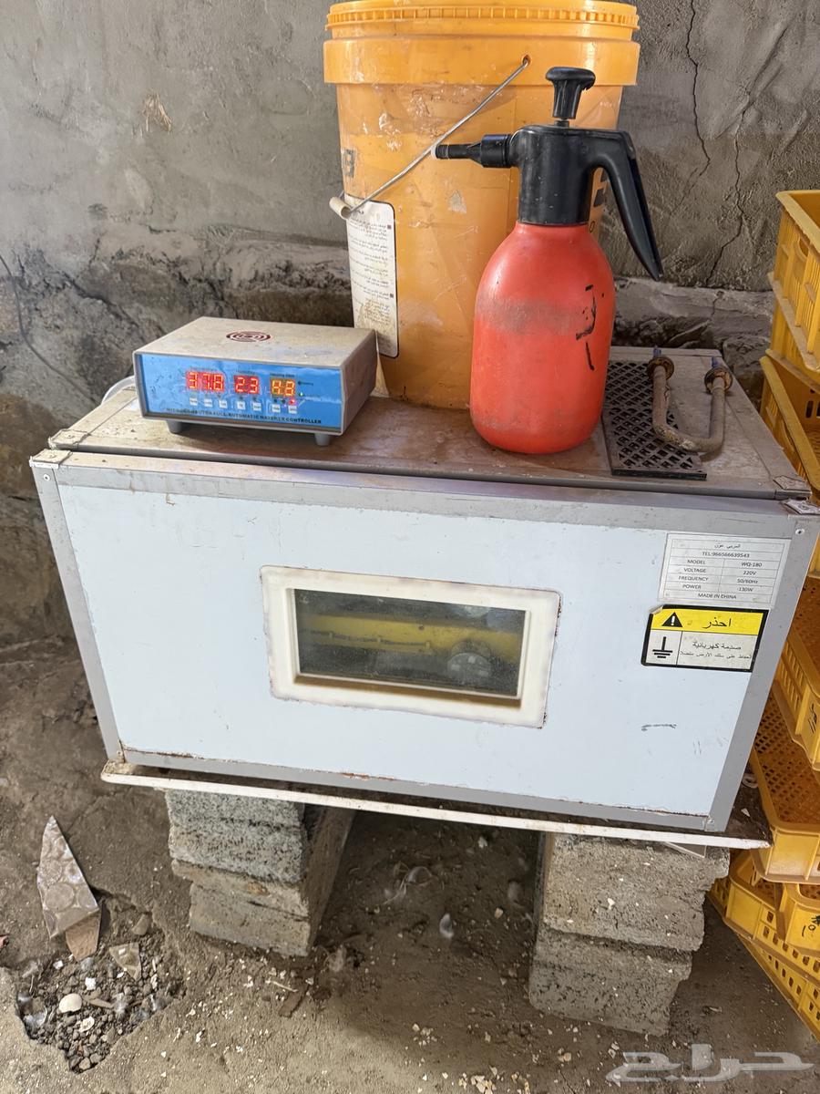 فقاسة للبيع تأخذ 180بيضة64548168563075110