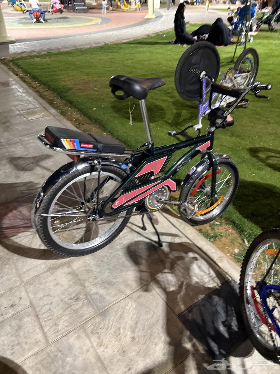 سيكل رامبو20لون زيتي للبيع57064545998090243113