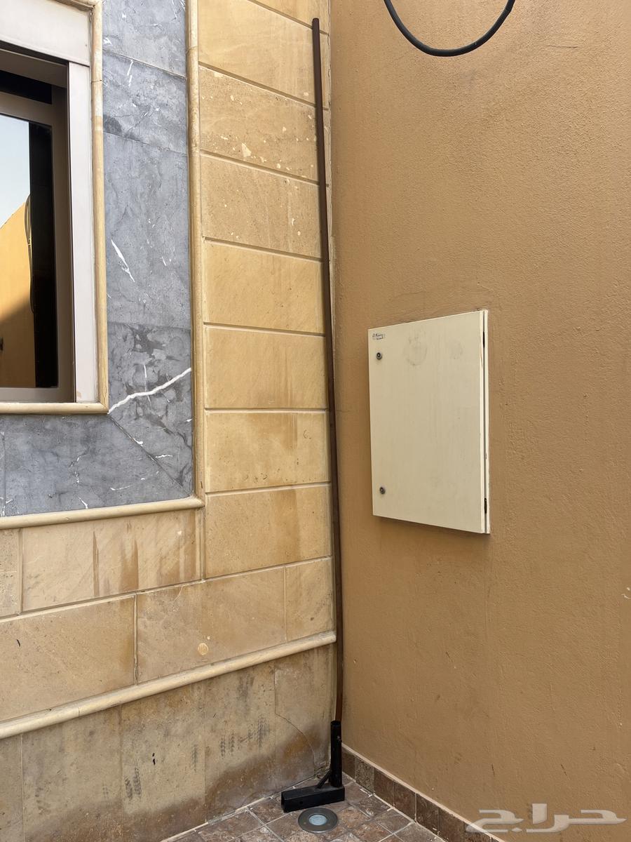 Flag and pole for the buffalo64548140484609110