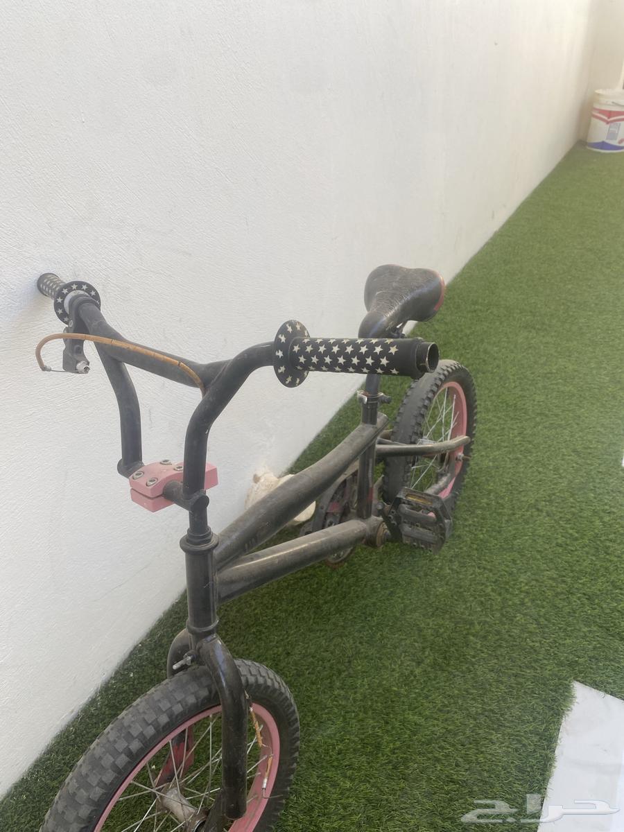 Cyclone Cobra64559421664386110