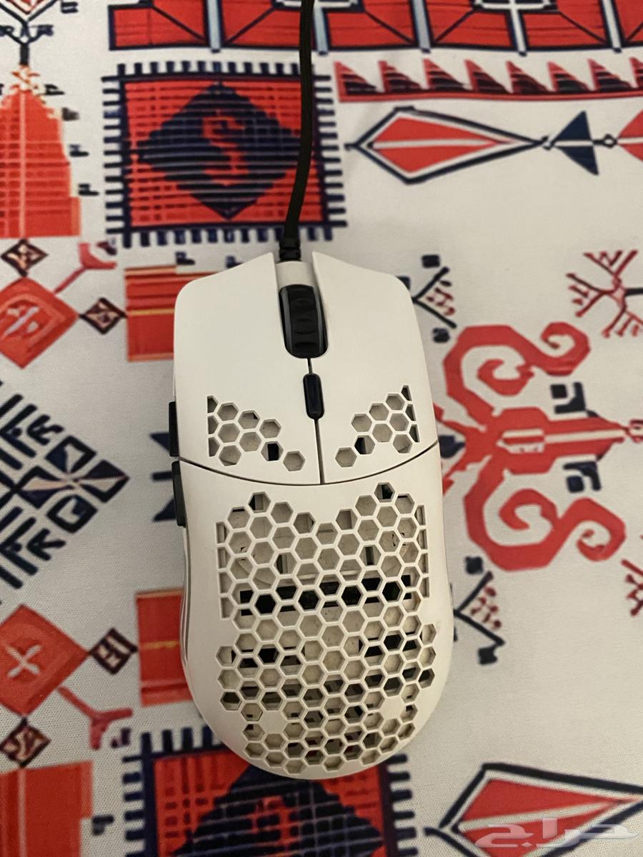 Gloris Mouse64546553895682111