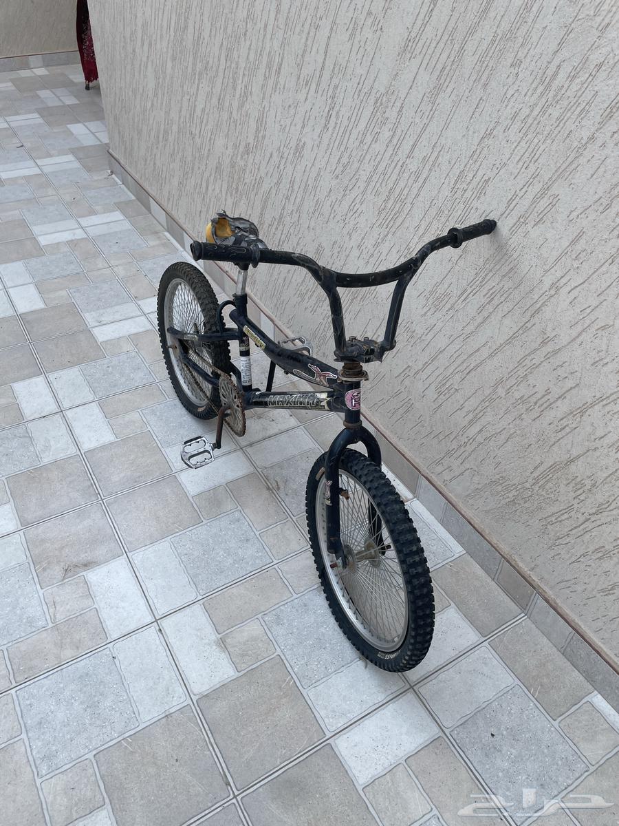 Scooter64548504995842111