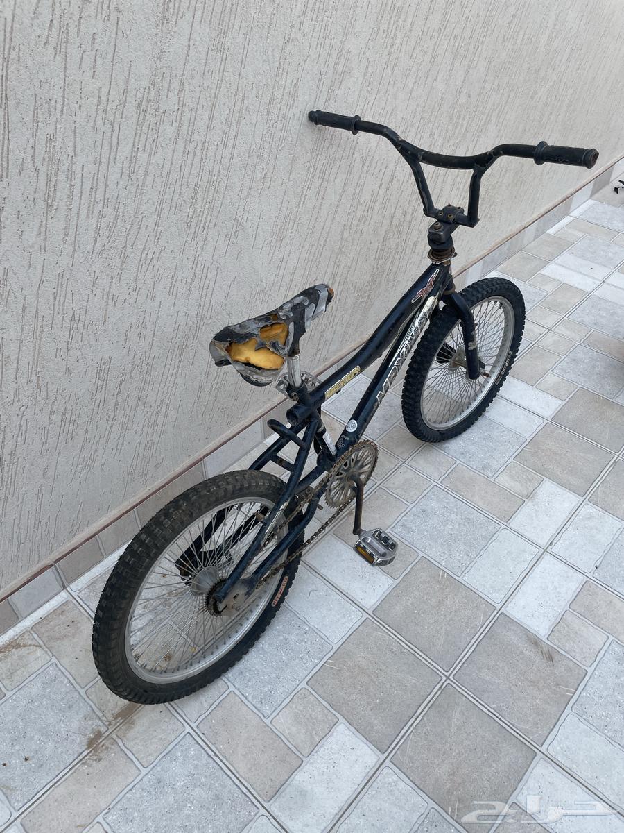 Scooter64548504995842110