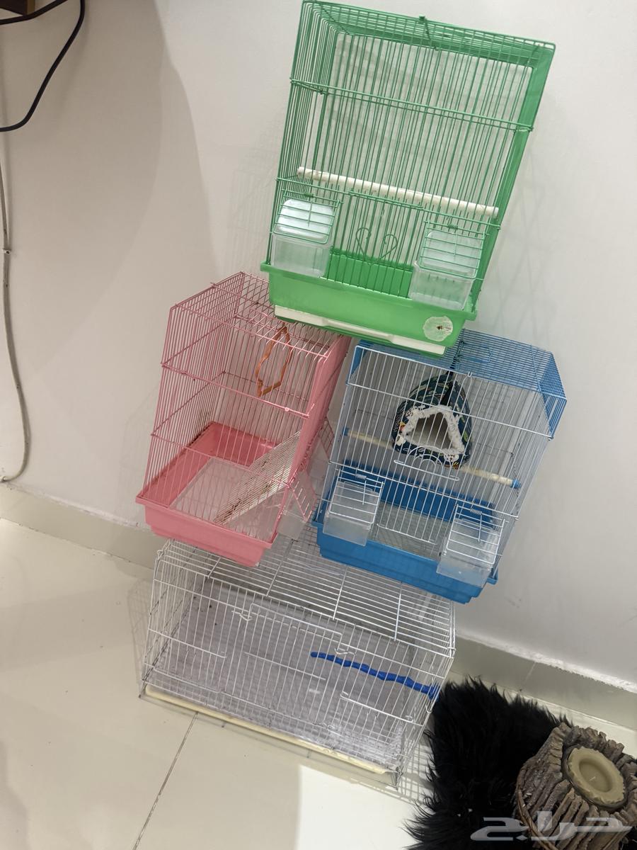 أقفاص عصافير للبيع64546651062531112