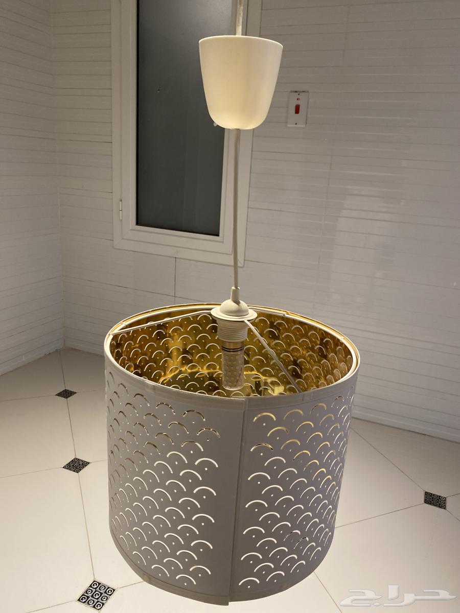 Lighting light of lights64544933669507110