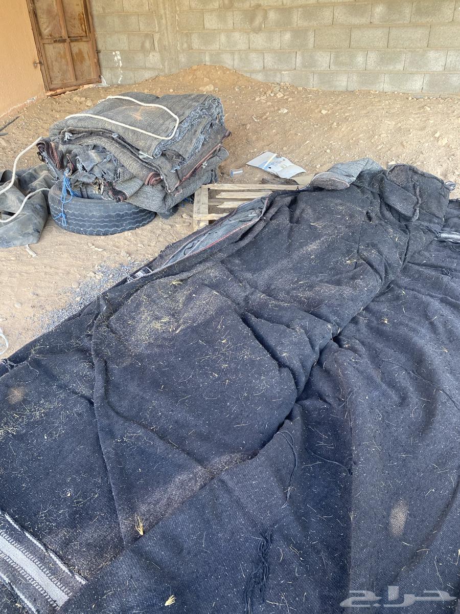 بيت شعر للبيع نظيف64411527375235112