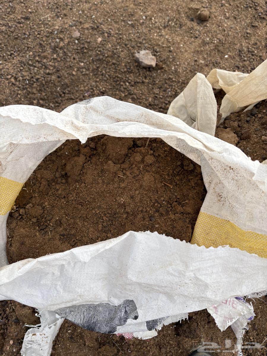 سماد وحديد للبيع64543860401794113