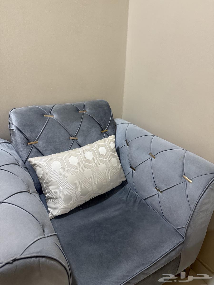 Sofa64553271629699113