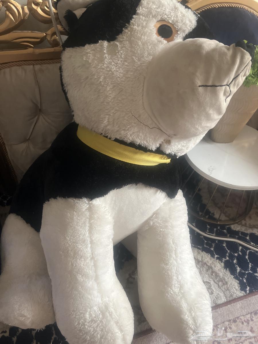 دبدوب كبير64547373956609110