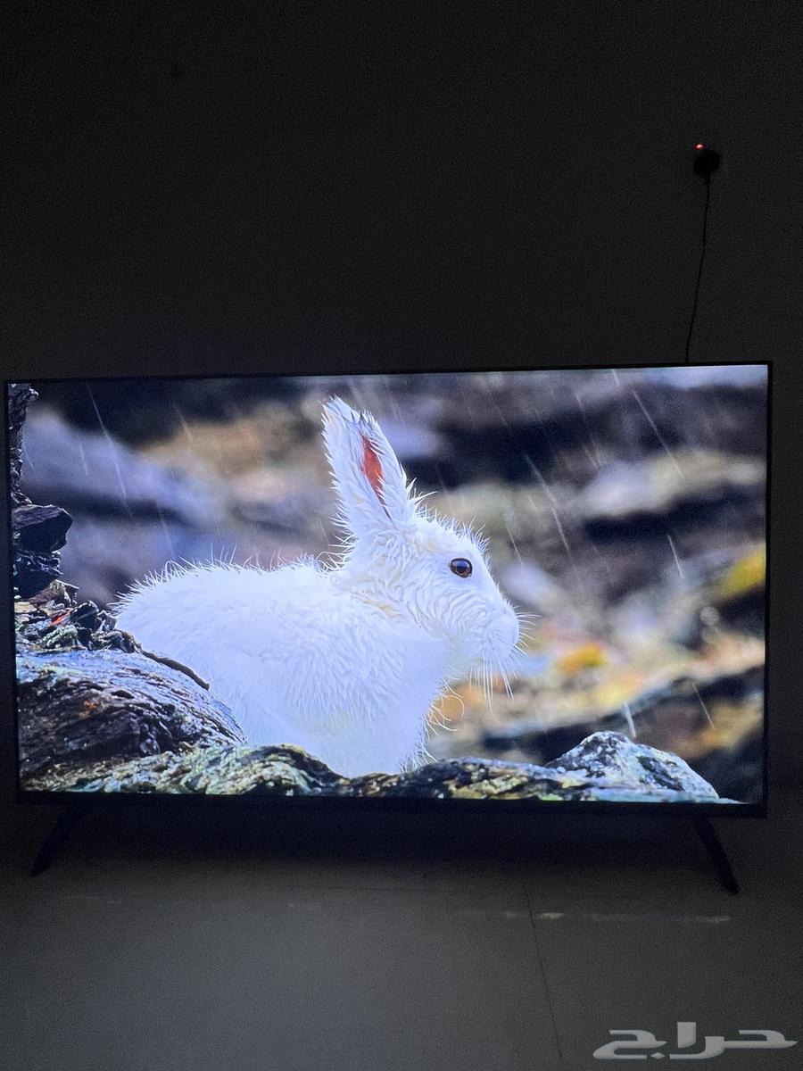 تلفزيون 60 بوصه 4K مستخدم64552320446209110