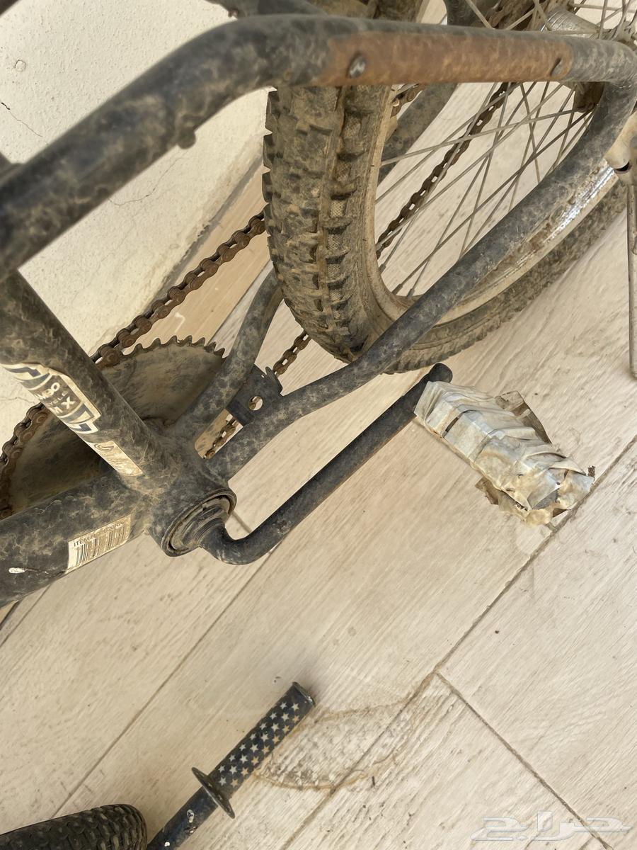 سيكل للبيع رامبو يباني64552177688705114