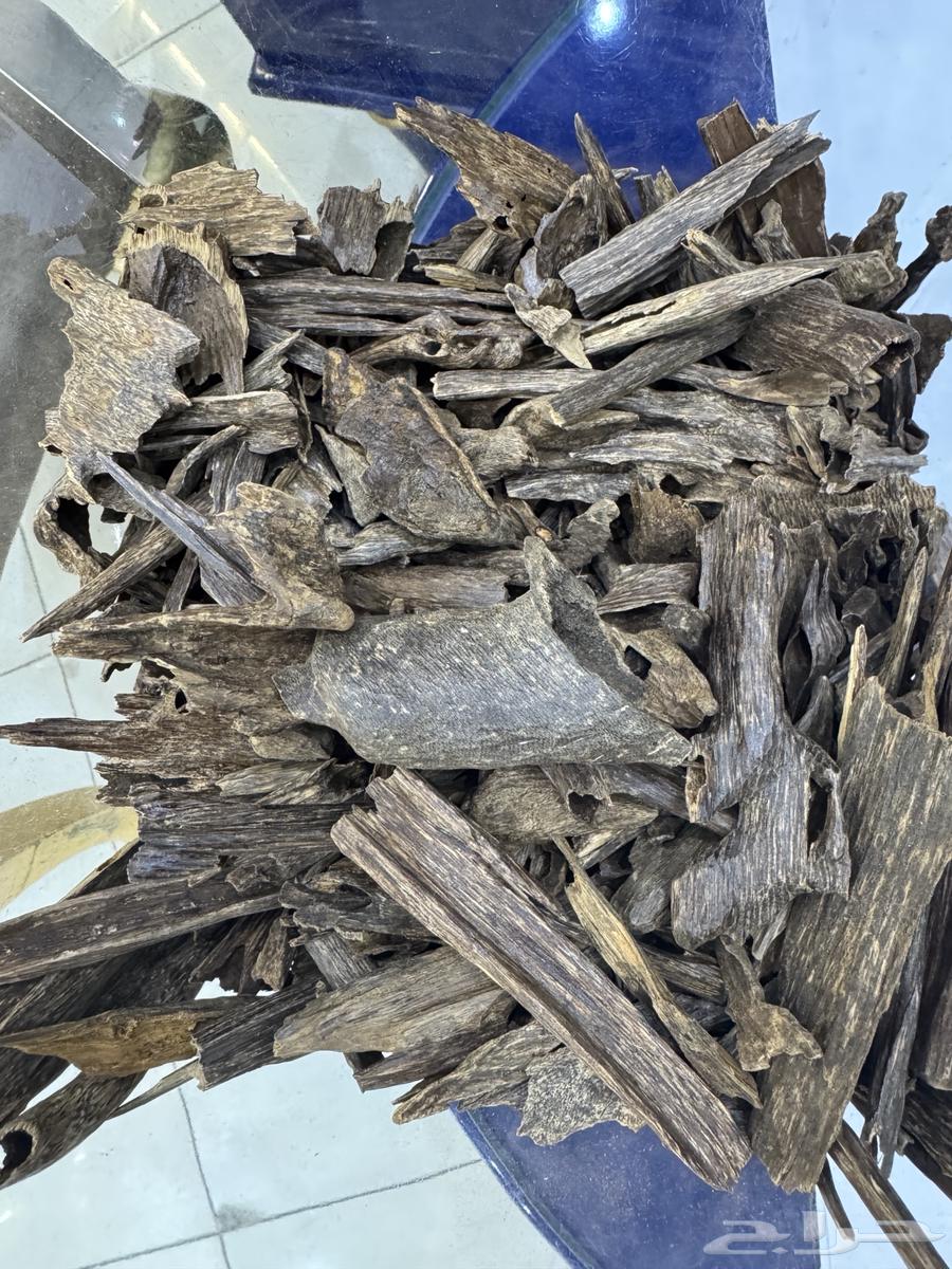 Types of Oud64545132731906111