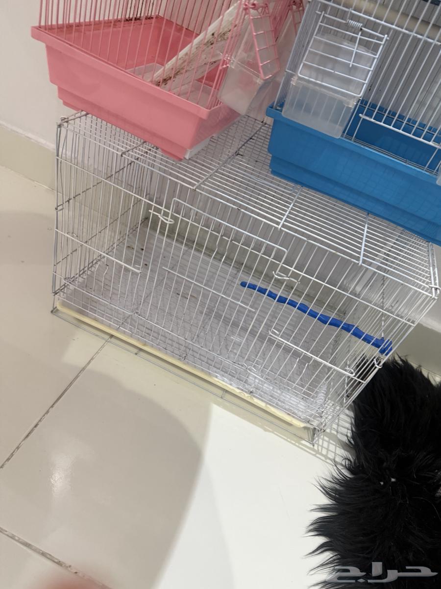 أقفاص عصافير للبيع64546651062531113