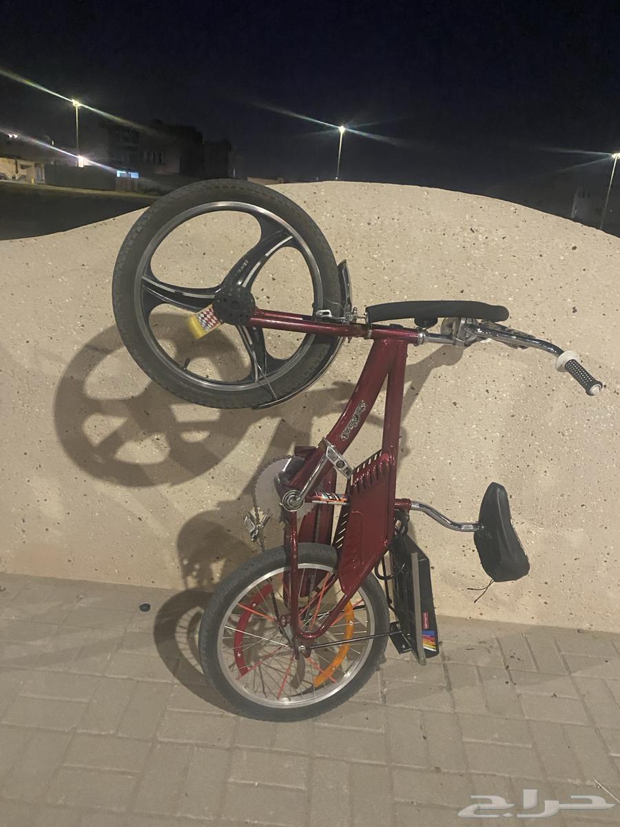 Rambo has a little pride64546440431490110