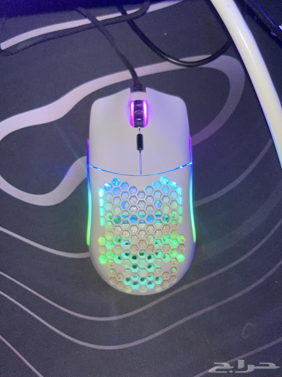 ماوس قلوريس موديل o مع كرتونه نضيييف64553144375169110